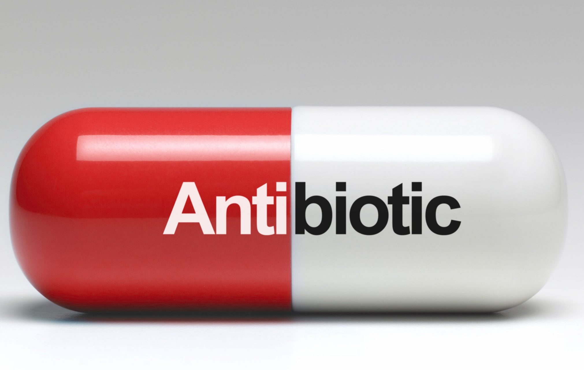 antibiotic
