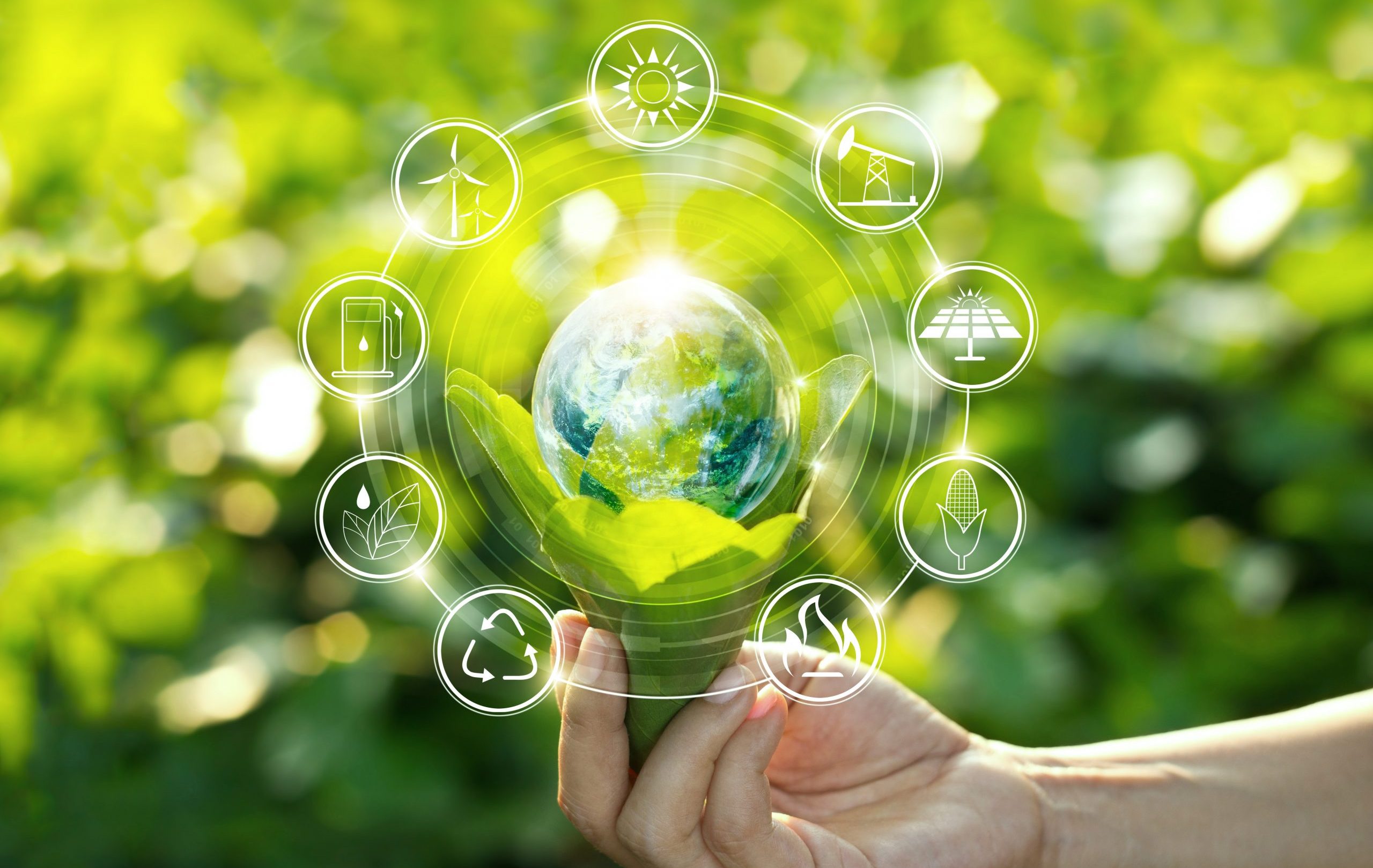 Hand,Holding,Light,Bulb,Against,Nature,On,Green,Leaf,With