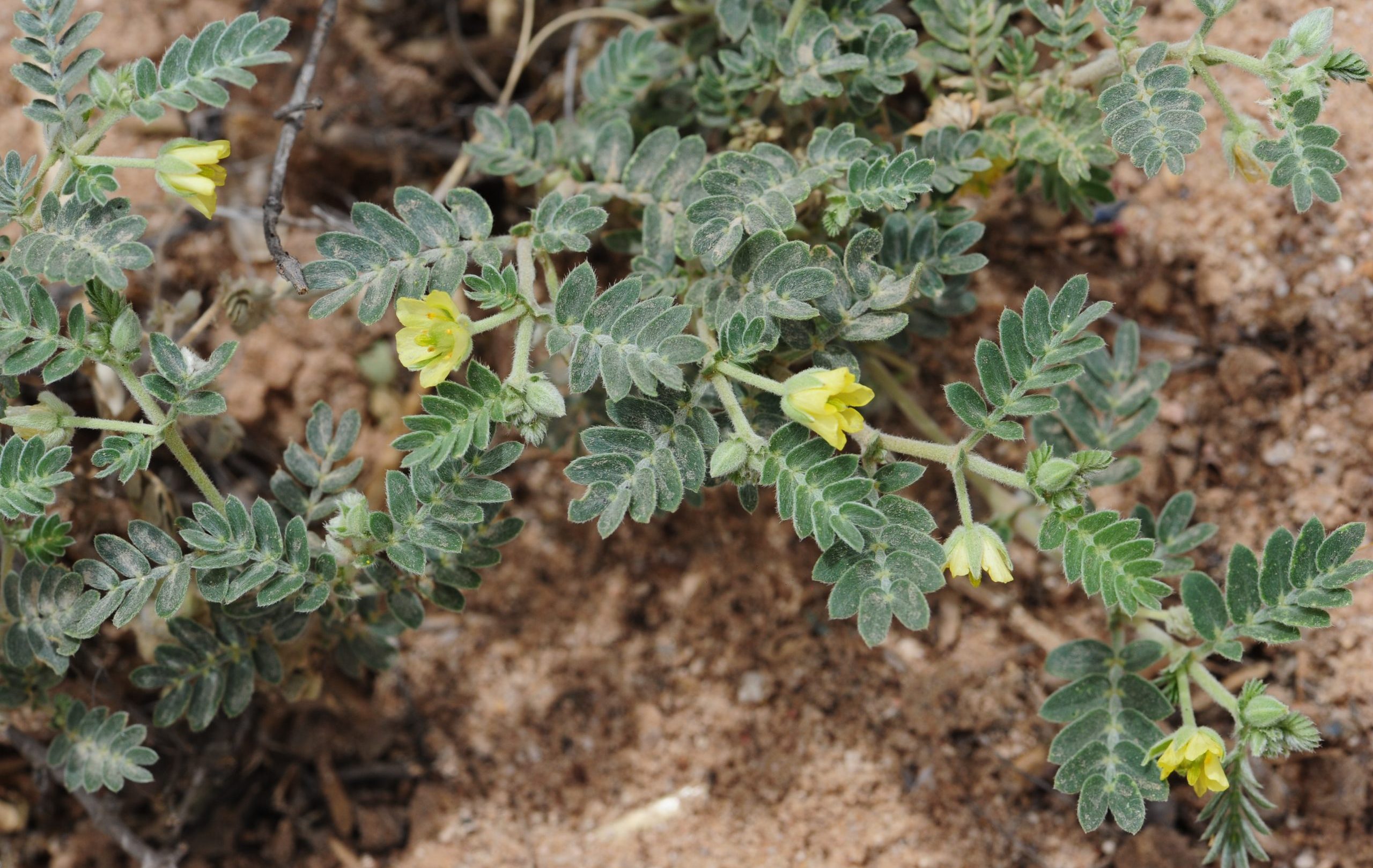 cf408939-df1e-417f-ace5-1532a9c30805