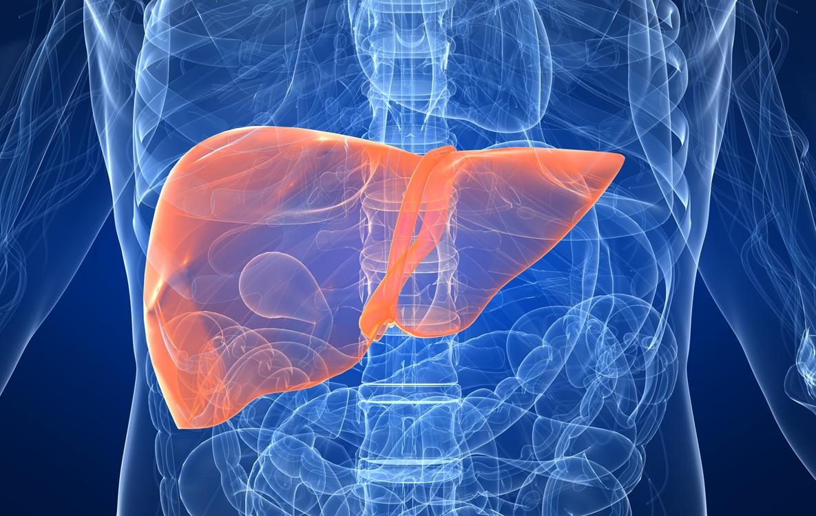 herbs-for-liver-health-and-detox