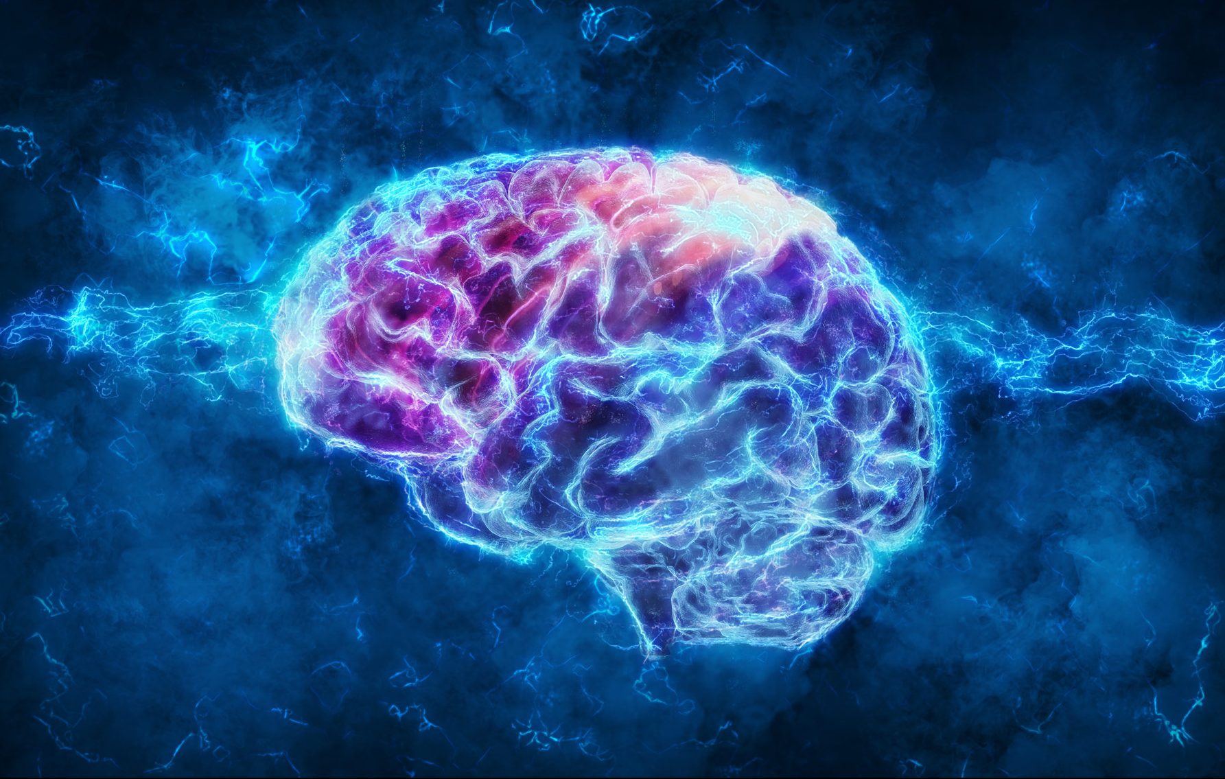 Brain Ageing